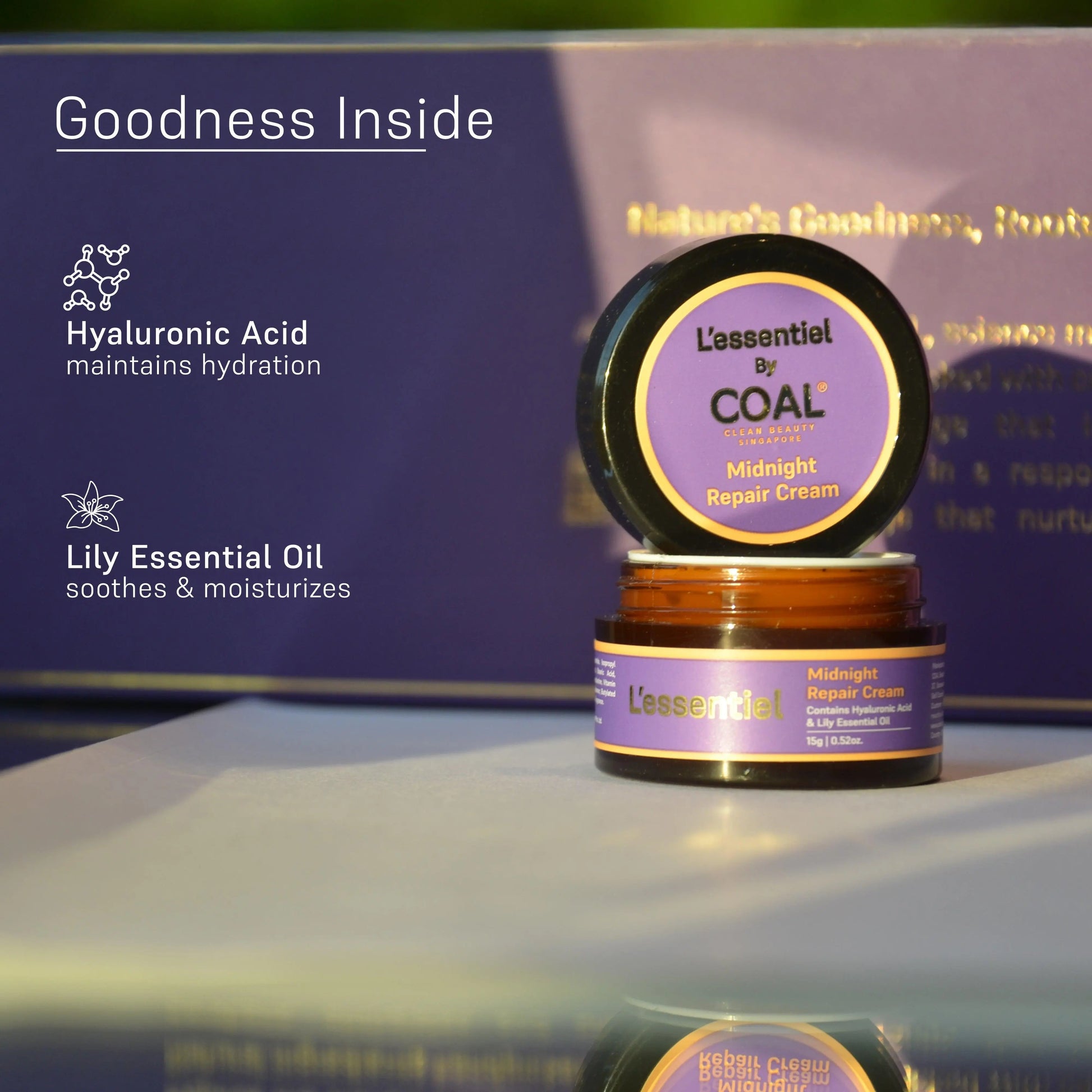 Travel Gift Collection - Coal Clean Beauty